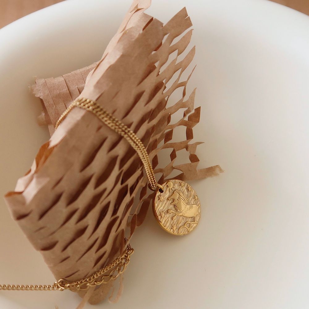 18K Gold Plated Leo Lion Coin Tag Necklace - Picture 7 of 8